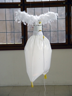 DSC00537